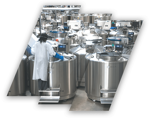 Controlled-storage-1 Cryo-storage of PBMCs and other biospecimens