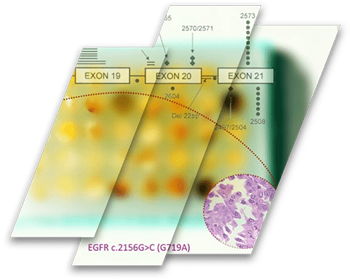 Research-Ready-TMAs-1 Molecularly Characterized Tissue Microarrays