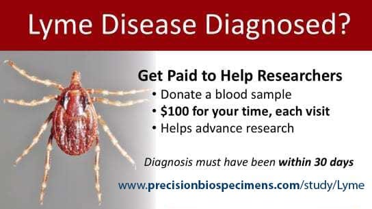 Lyme2 Lyme2